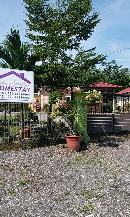 Dhia Irdina Homestay Paya Rewak Εξωτερικό φωτογραφία