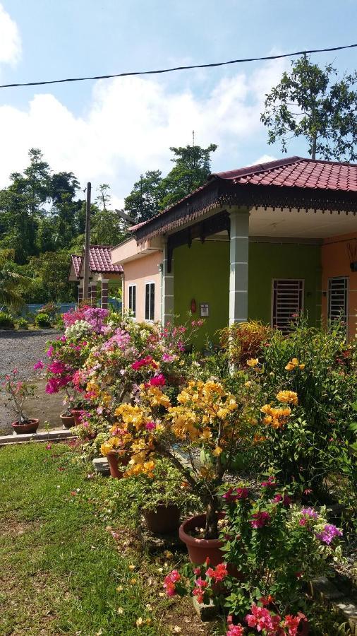 Dhia Irdina Homestay Paya Rewak Εξωτερικό φωτογραφία