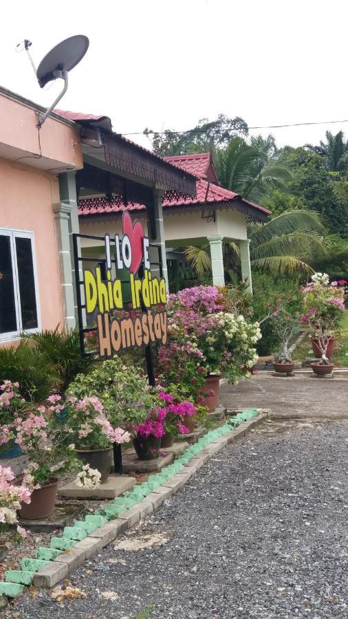 Dhia Irdina Homestay Paya Rewak Εξωτερικό φωτογραφία